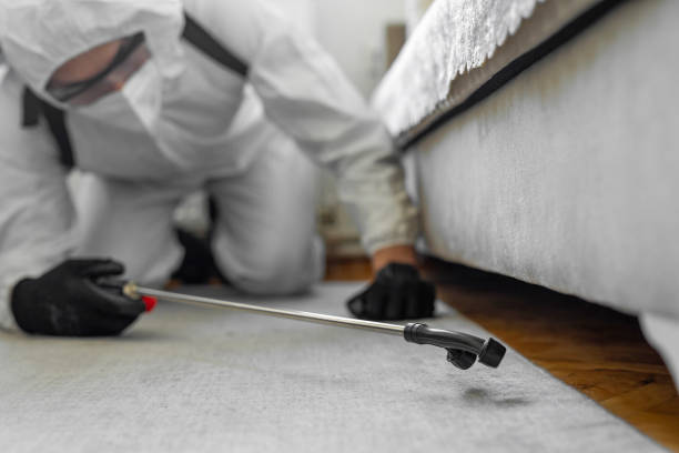 Professional Bed Bug Control technician working in Twin Lakes, CA