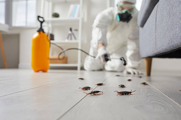 Trusted Cockroach Control service in Twin Lakes, CA - Nex Pest Control